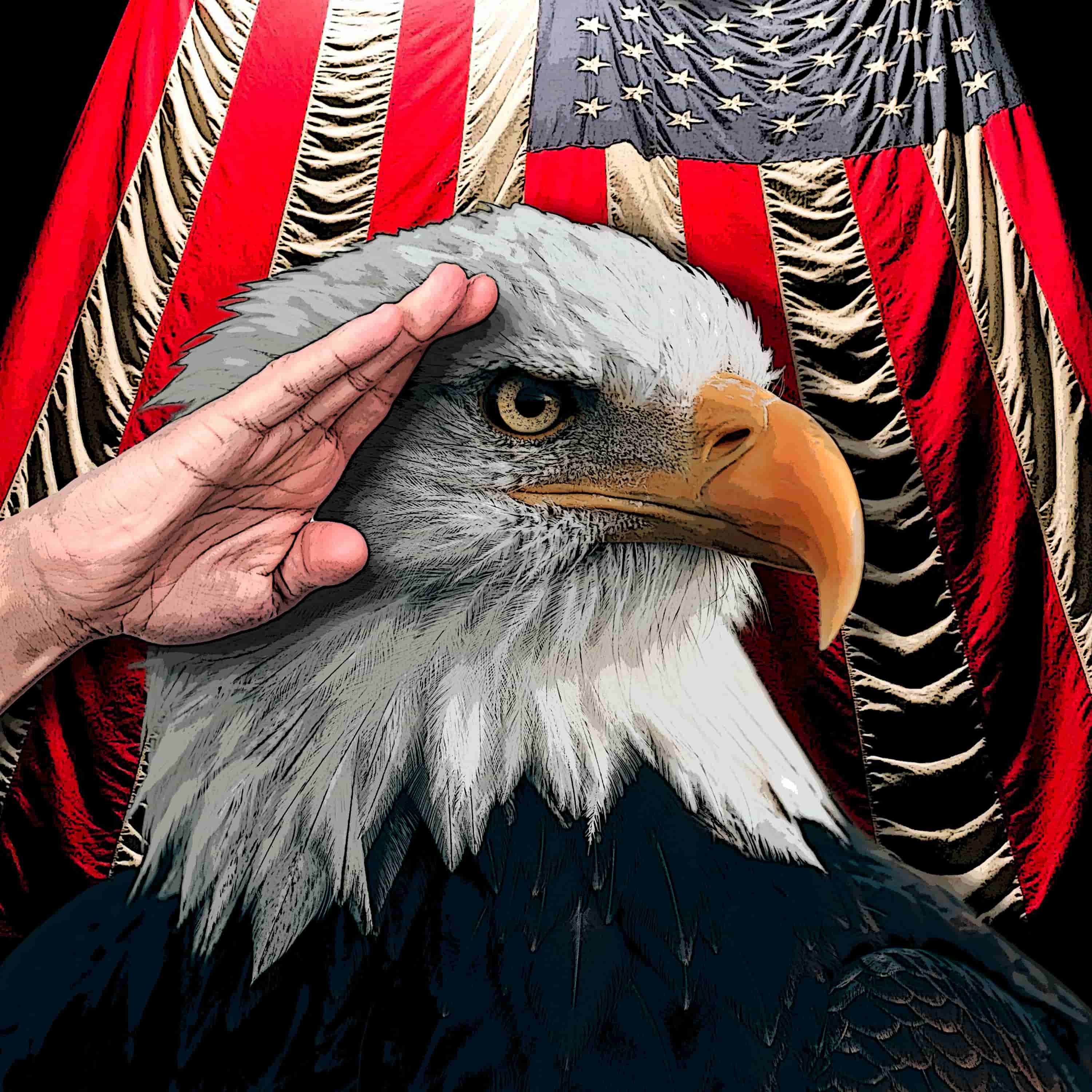 27c2eb641f22e6bb04b37488285acf4e43166b8488d45689c07f6d596399c9e8i0