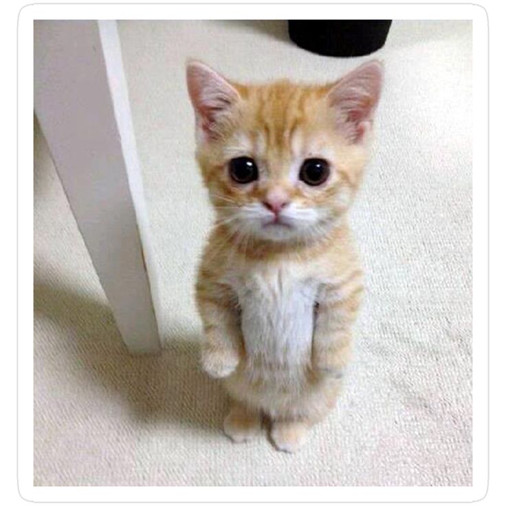 8cc4d718e8b69972fac06cd5131cfb5d2d3a34d23a5c985cba9205ae129014b8i0